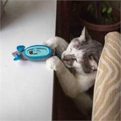 Doc & Phoebes Indoor Hunting Cat Feeder